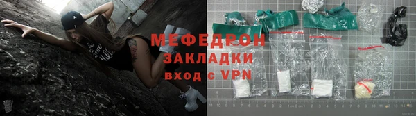 трава Ельня