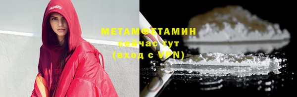 трава Ельня