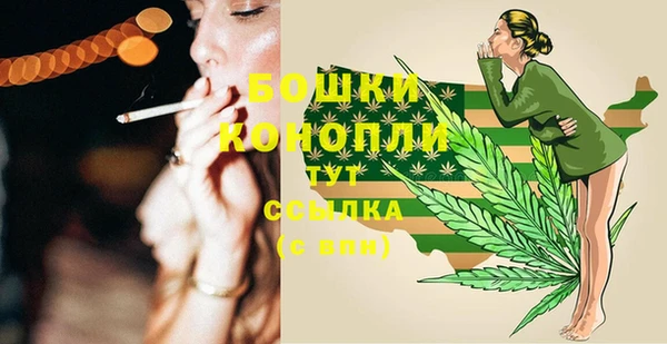 трава Ельня
