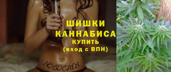 стафф Дмитровск