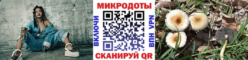 Псилоцибиновые грибы GOLDEN TEACHER  Купить  Чайковский 